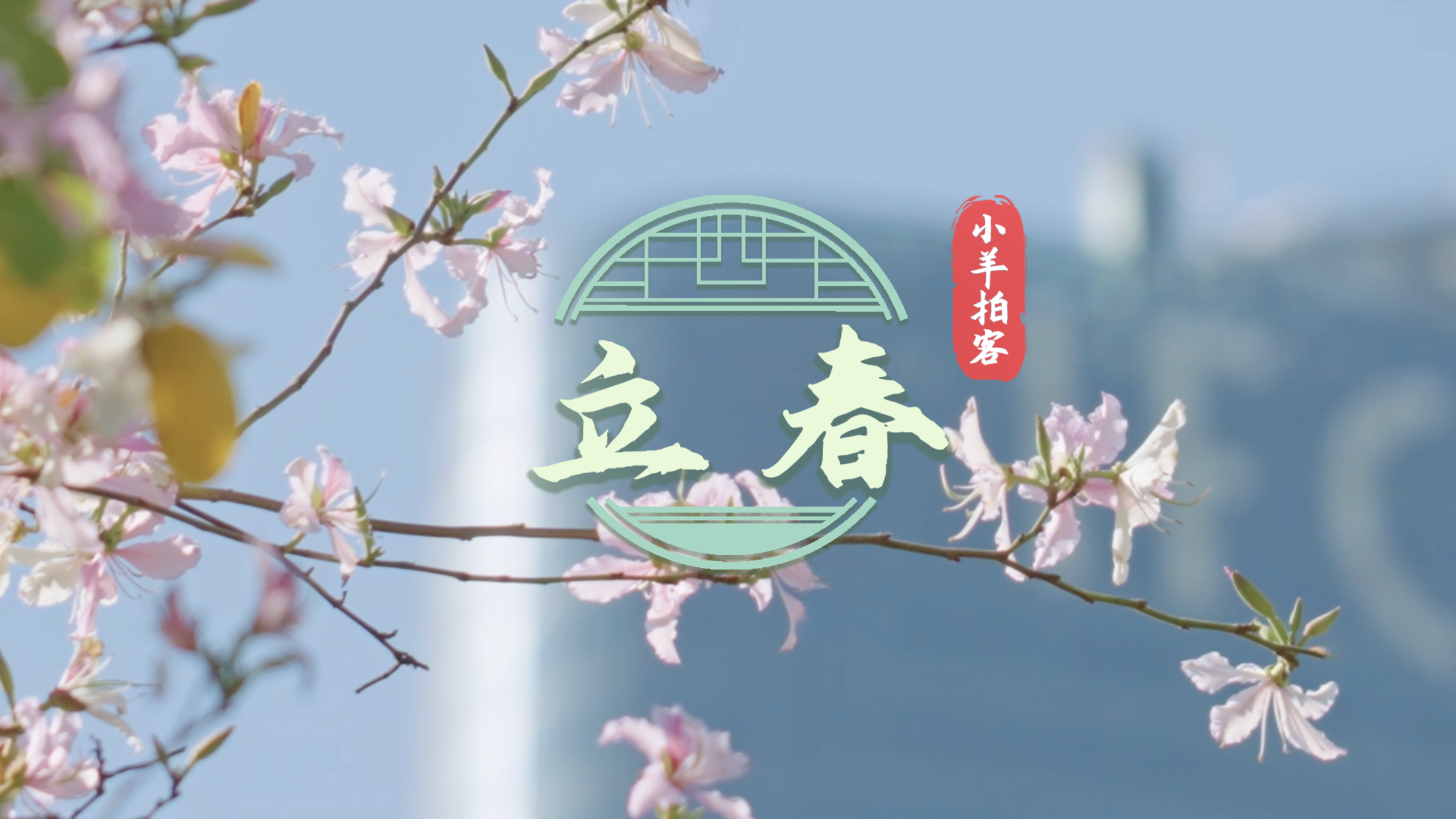 立春，花開嶺南待客來