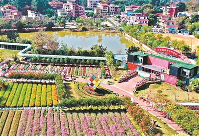 廣州鄉村Walk！7條寶藏路線分享→