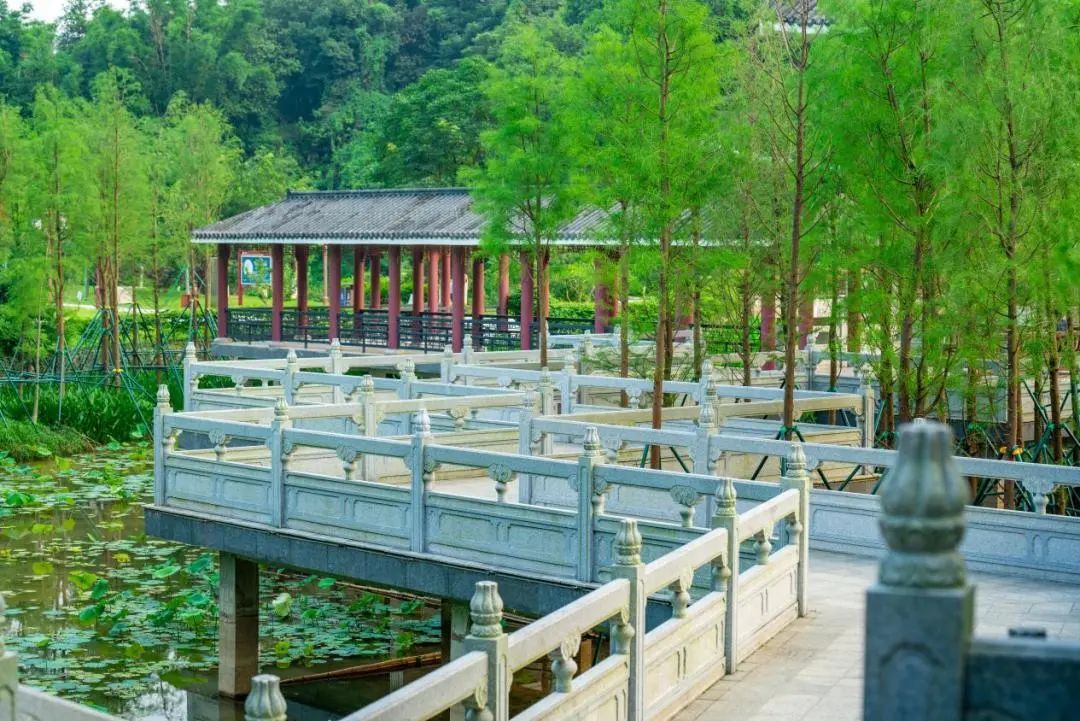 就在家門口！黃埔5大「寶藏公園」等你解鎖 →