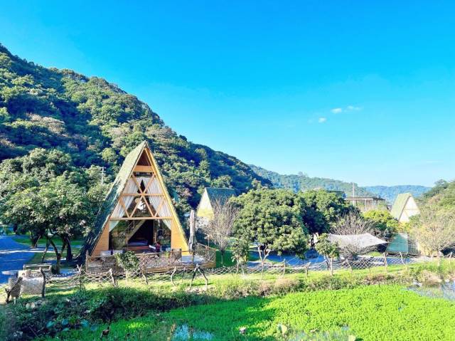 從化錦一村：人人當“村播”，帶貨帶鄉愁