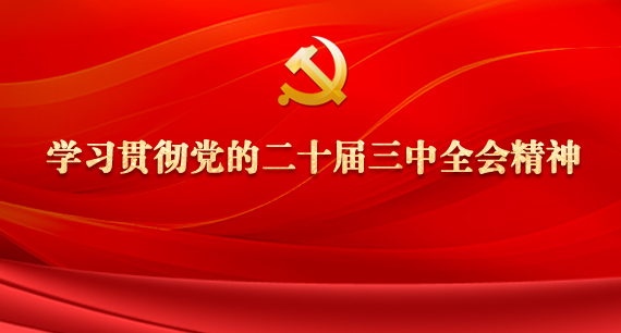 學習貫徹黨的二十屆三中全會精神