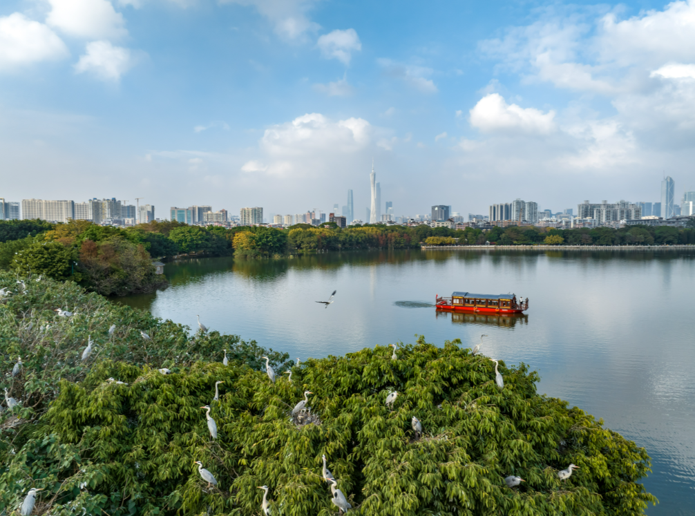 廣州出臺自然保護地環境監管指引 根據自然保護地生態環境風險高低分類監管