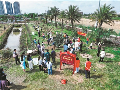 今年以來廣州開展植樹活動超1600場 澆灌出城市滿目蔥蘢