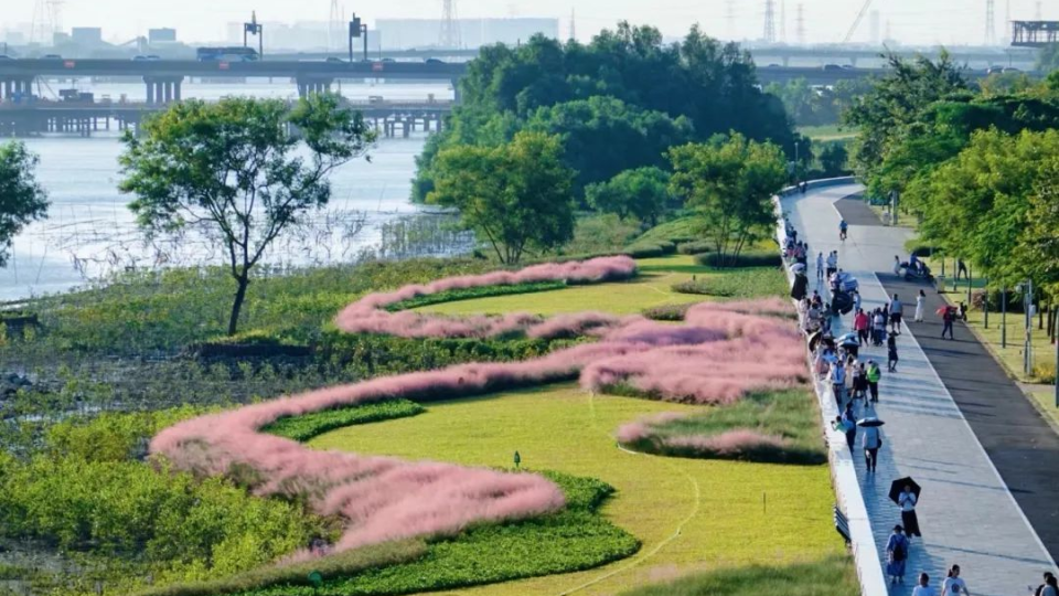 2025年海洋生態保護修復典型案例評選結果出爐 南沙濕地生態修復案例入選