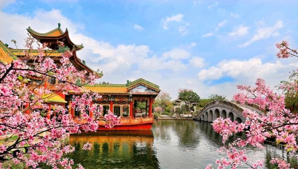 番禺紫坭村：景點(diǎn)串起來，進(jìn)村如入畫