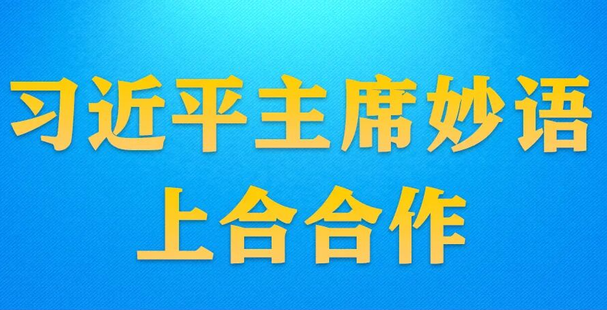 學(xué)習(xí)進(jìn)行時(shí)丨習(xí)近平主席妙語上合合作