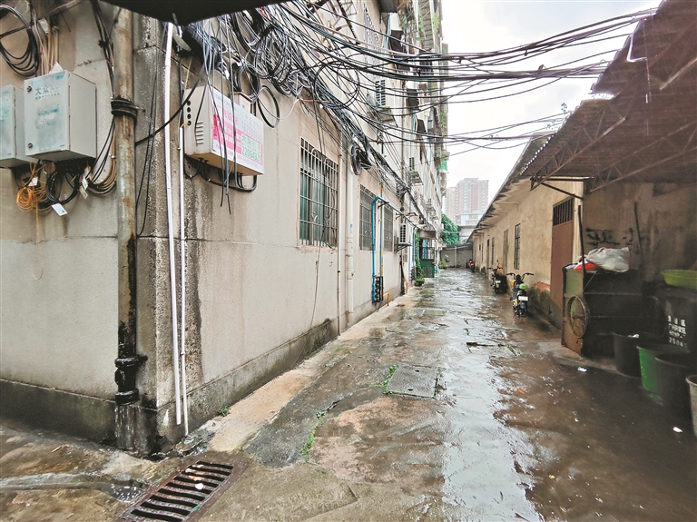 ed6613d61193acd2f269.jpeg