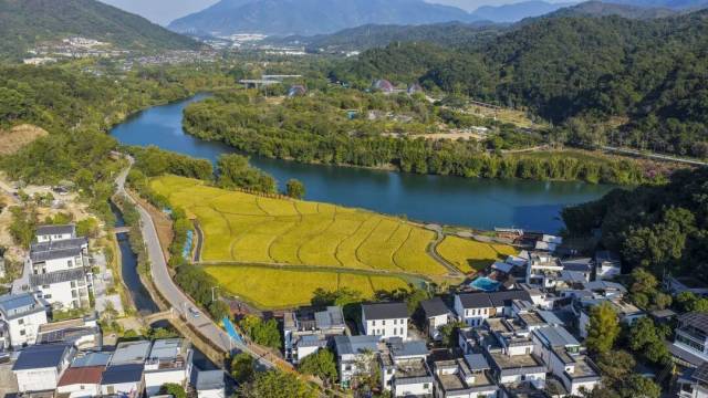 米埗小鎮(zhèn)