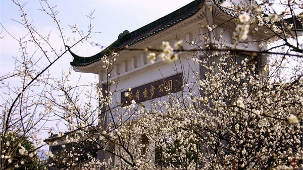 梅花