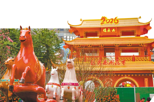 十一區花市牌樓 誰家頂流