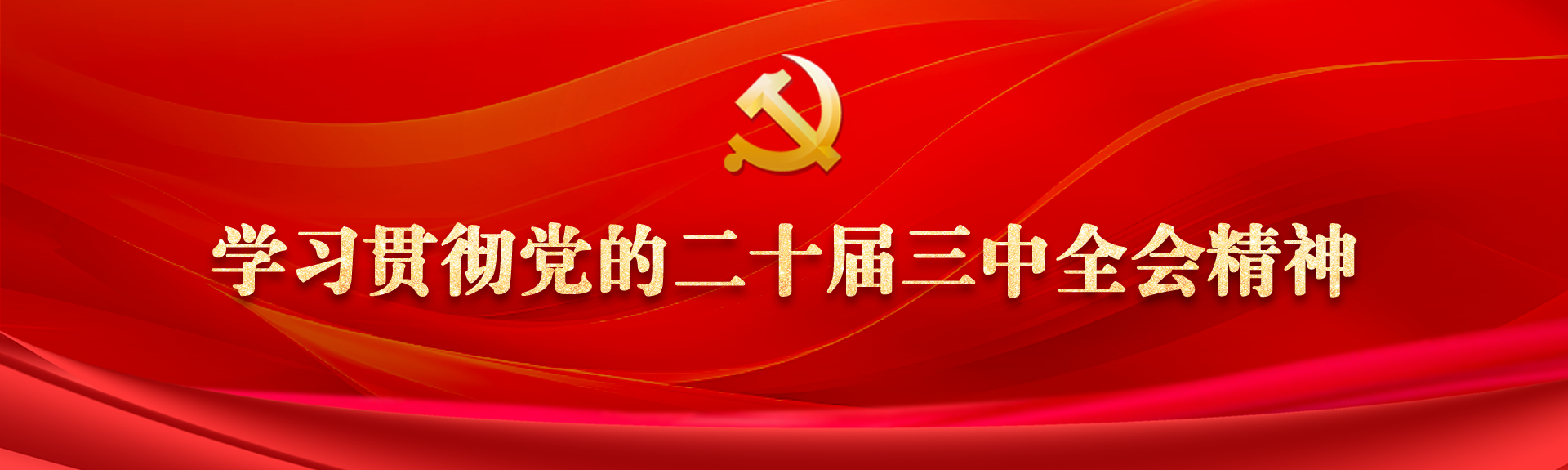 學習貫徹黨的二十屆三中全會精神